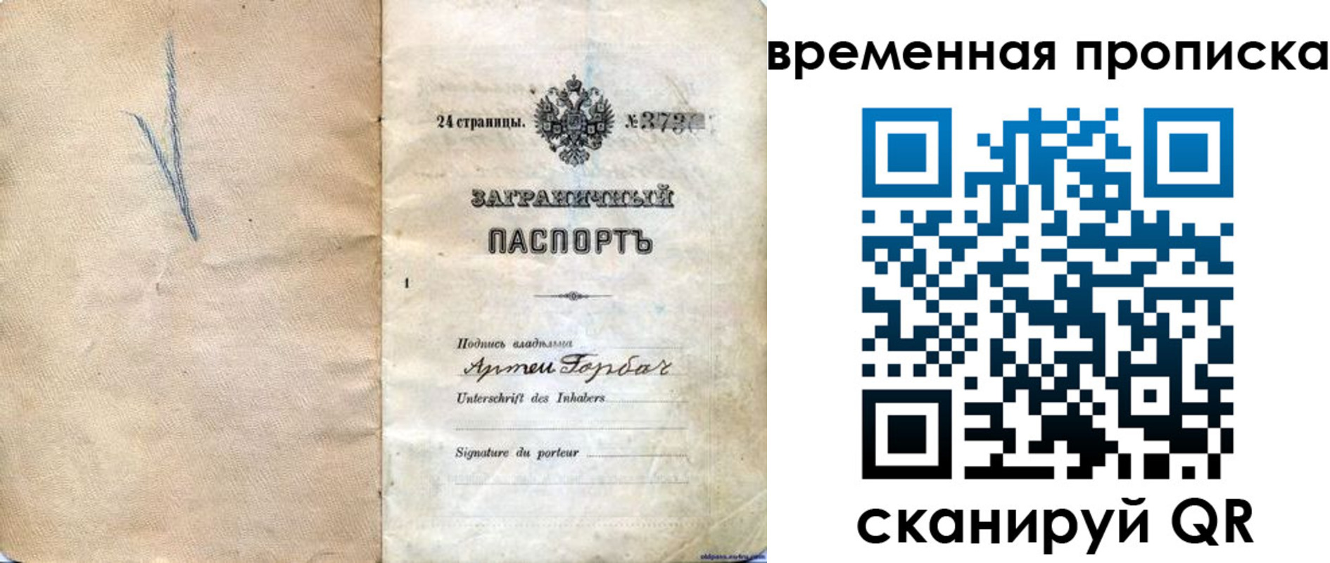 прописка поиск в Черноголовке